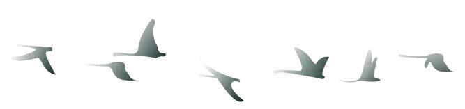 中秋佳節(jié) ▎有態(tài)度、有溫度， 一份堅(jiān)守是最誠(chéng)摯的祝福！